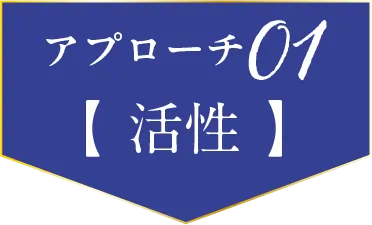アプローチ01 活性