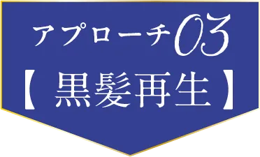 アプローチ03 黒髪再生